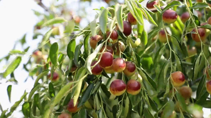 《壯美山河&middot;冀